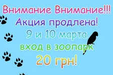 .webp