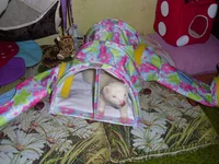 SAM_1227.webp SAM_1227.webp