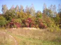 поход в лес 004.jpg