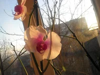 P1010416.jpg