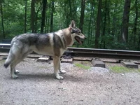 2013-06-17 12.46.33.webp