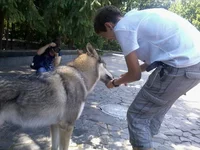 2013-06-17 14.15.04.webp