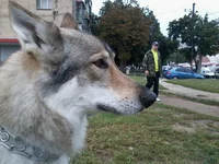 2013-09-06 11.39.19.webp