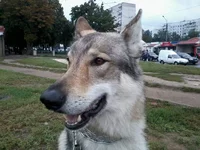 2013-09-06 11.39.43.webp