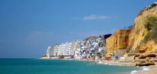  7398.webp
