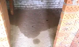 IMAG0138.webp