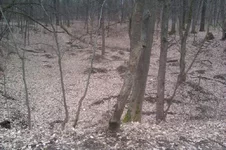 IMAG1000.webp