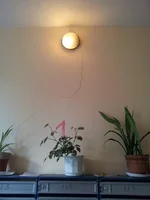20140310_093732.webp