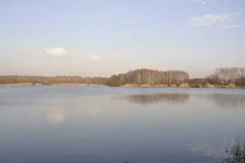 pr00001.webp
