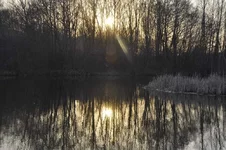 pr00002.webp