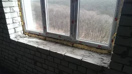 IMAG0085.webp
