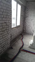 IMAG0087.webp