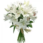 .webp