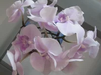 IMG_3272.webp