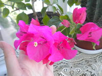 DSCN3764.jpg