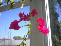 DSCN3761.jpg