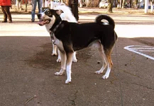 _март2014 014.webp