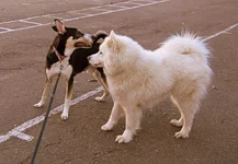 _март2014 019.webp