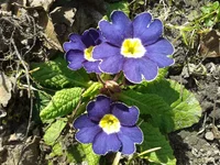 2014-03-24 12.14.15.jpg