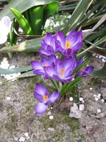 IMG_7067.webp
