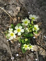 IMG_7073.webp