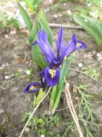 IMG_6992.jpg