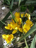 IMG_7069.webp