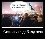 .webp