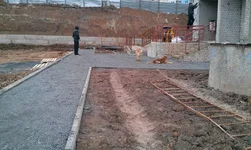 IMAG0675.webp