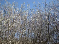 IMG_0326.webp