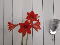 P3288030.webp