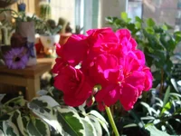 DSC04095.webp