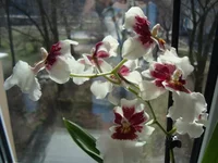 DSC04133.webp