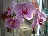 DSC04135.webp