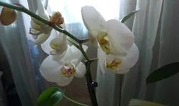 IMAG1026[1].webp