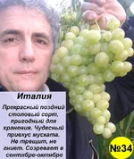 34 Италия.webp