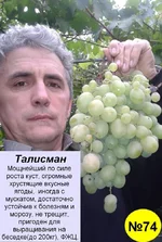 74 Талисман.webp