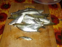 IMG_20140403_015404.jpg
