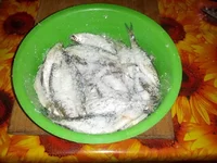 IMG_20140403_015702.webp