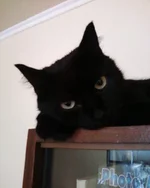 2013-0413.webp