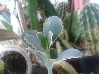 2013-10-01 13.41.48.webp