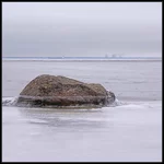 DSC15404.webp