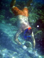 P1280201.webp