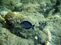 P1290218.webp