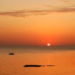 DSC_7543.jpg