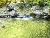 33.webp