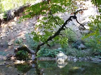 34.webp