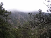 P4300086.JPG