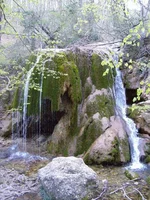 P5030243.JPG