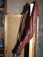 IMG_2053.webp